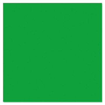 Pacon® Fadeless Paper Roll, 50lb, 48" X 50ft, Apple Green freeshipping - TVN Wholesale